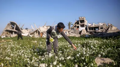   طفل يقطف الزهور قرب مبان مدمرة في غزة