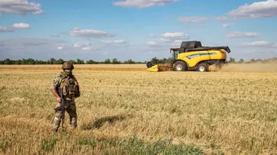 جندي روسي يقف حارسًا أثناء الحصاد بالقرب من ميليتوبول، أوكرانيا