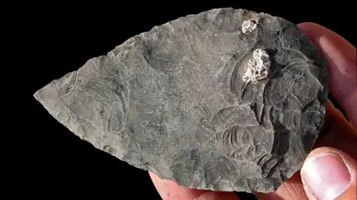 عُثر في الموقع على رأس سهم مصنوع من حجر الأوبسيديان