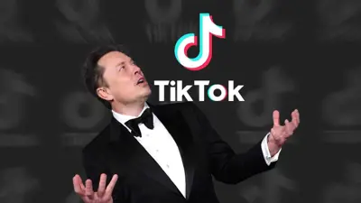 إيلون ماسك ويبدو شعار تيك توك