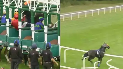 حصان معصوب العين يتسبب في سباق ويندسور بإنجلترا