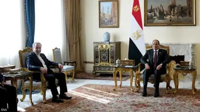 السيسي خلال استقباله عراقجي