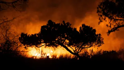 من حرائق لوس أنجلوس