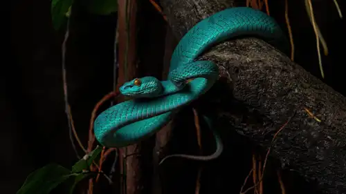 أفعى الحفرة 