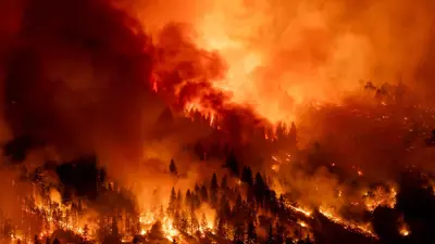 جانب من الحريق