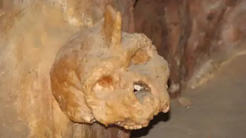 جمجمة بترالونا