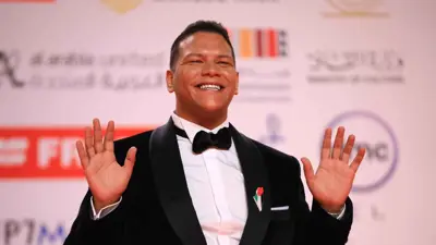 الفنان المصري أحمد عبد الحميد