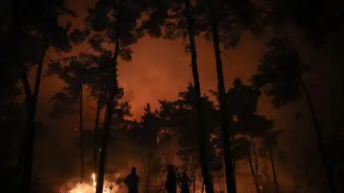 حرائق الغابات في سوريا