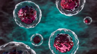 رسم ثلاثي الأبعاد للخلايا الجذعية