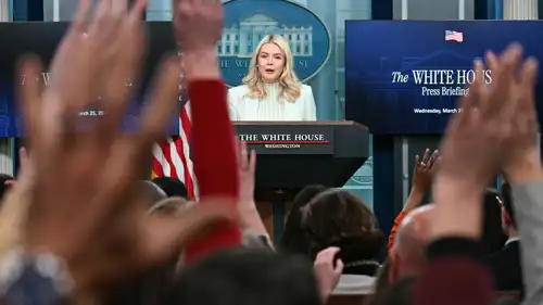 كارولين ليفات