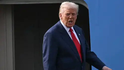 الرئيس الأمريكي دونالد ترامب