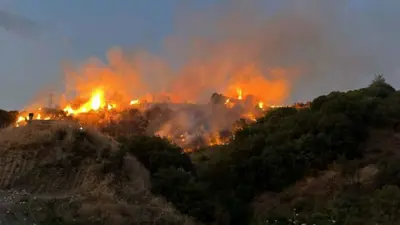 حريق في غابة بسبب قرادة