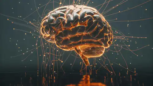 دماغ الإنسان