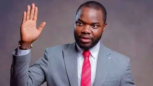 فابريس لينا، المعارض الكاميروني