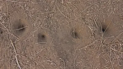 صورة تعبيرية لثقوب في الأرض