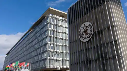 منظمة الصحة العالمية