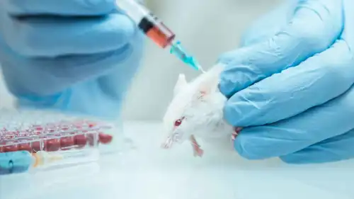 فأر تجارب في المختبر