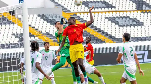 مباراة الجزائر وغينيا في تصفيات كأس العالم 2026