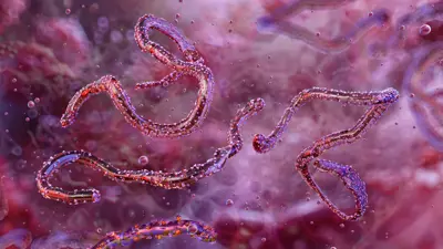 فيروس ماربورغ