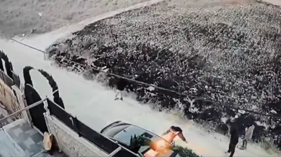 مستوطن يشعل النار بسيارة فلسطينية