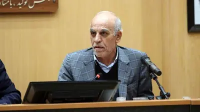 مساعد الرئيس الإيراني لشؤون التنمية الاقتصادية، علي عبد العلي زاده