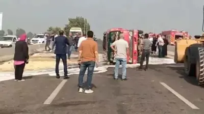  انقلاب عربة تقلّ عمالاً زراعيين في البحيرة