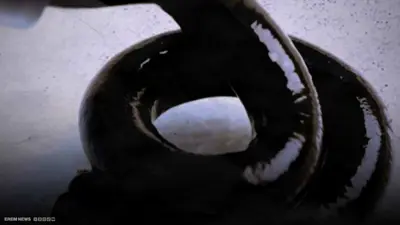 بطارية تتمدد وتشبه المعجون.. ثورة صناعية بتقنية "ثلاثي الأبعاد"