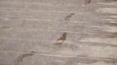 آثار أقدام (تعبيرية)