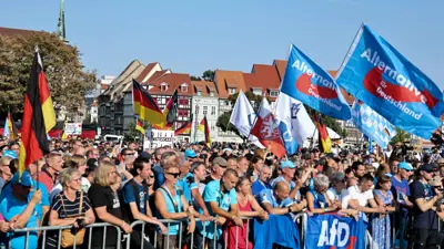 تجمع لأنصار حزب البديل من أجل ألمانيا