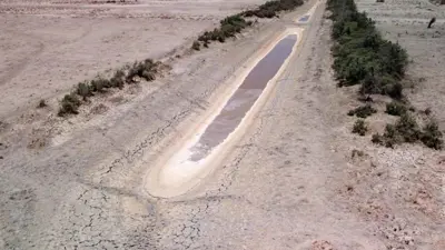 الجفاف جنوبي العراق