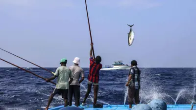 صيد الأسماك