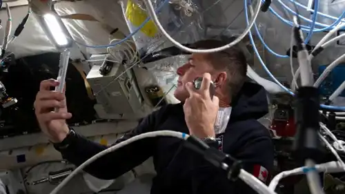 رائد فضاء خلال مهمة أرتيميس II،