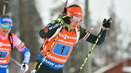 لاورا دالمير 