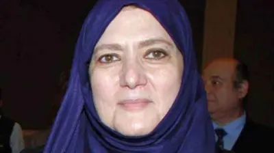 شمس البارودي