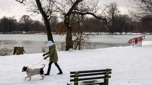 عاصفة ثلجية سابقة على الولايات المتحدة