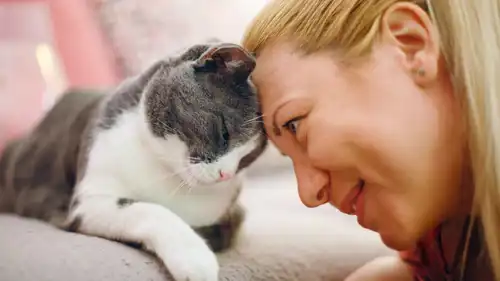 فتاة مع قطتها