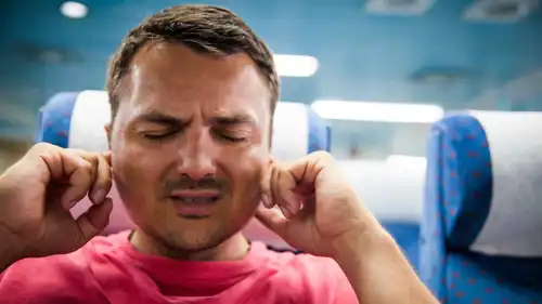 أذن الطائرة 