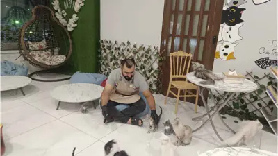 أحمد رعد، صاحب أول مقهى للقطط في كركوك العراقية