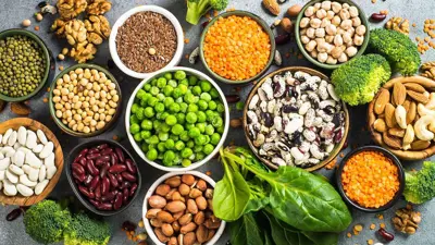 البروتين النباتي 