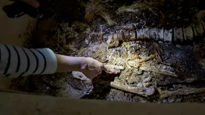 آثار عظام (تعبيرية)