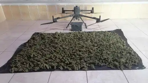 المخدرات المضبوطة 