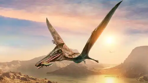 رسم توضيحي للديناصور الطائر