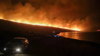 الحرائق في تركيا