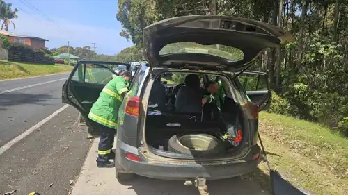 من عملية إخراج الثعبان من السيارة