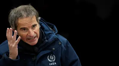 رافائيل غروسي