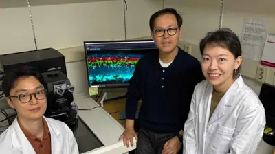 الياحثون الذين أجروا الدراسة