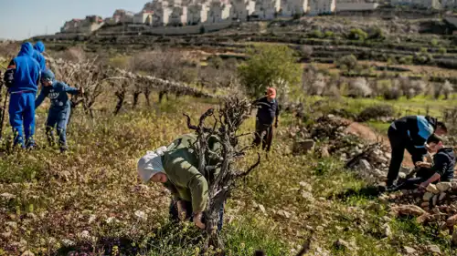 فلسطينيون في أرض بالضفة الغربية