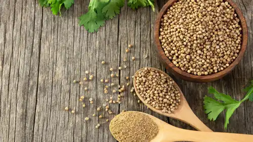 بذور الكزبرة