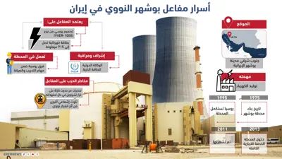 أسرار مفاعل بوشهر النووي