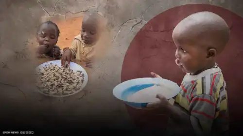 النمل الأبيض على موائد الطفولة